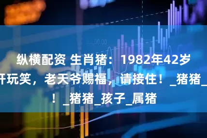 纵横配资 生肖猪:1982年42岁的你,不开玩笑,老天爷赐福,请接住!_猪猪_孩子_属猪