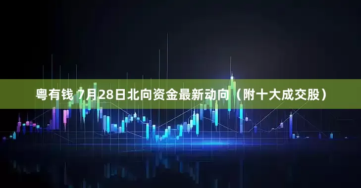 粤有钱 7月28日北向资金最新动向（附十大成交股）