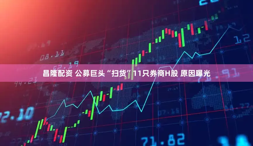 昌隆配资 公募巨头“扫货”11只券商H股 原因曝光