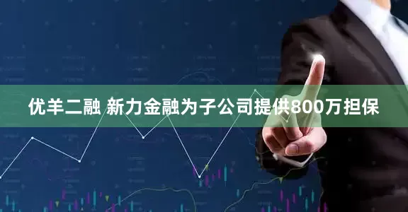 优羊二融 新力金融为子公司提供800万担保